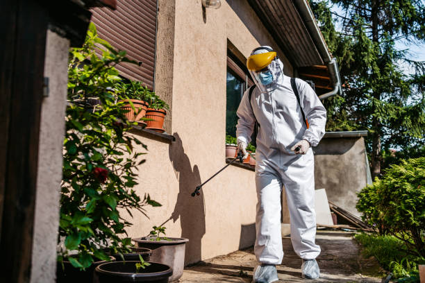 Best Exterminator Services  in Towson, MD