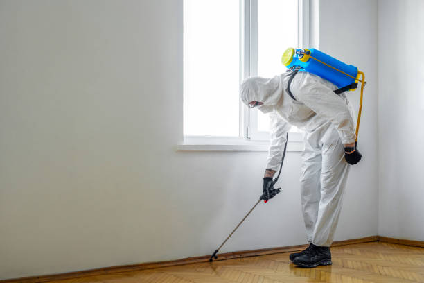 Best Best Pest Control Companies  in Towson, MD