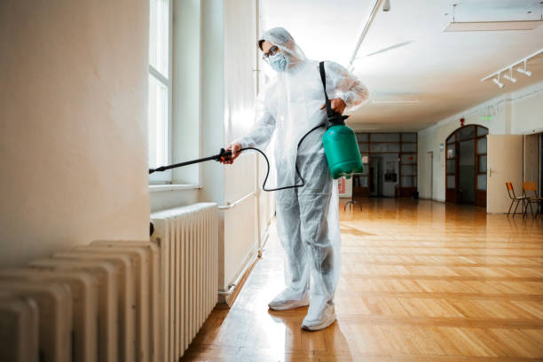 Reliable Towson, MD Pest Control Solutions