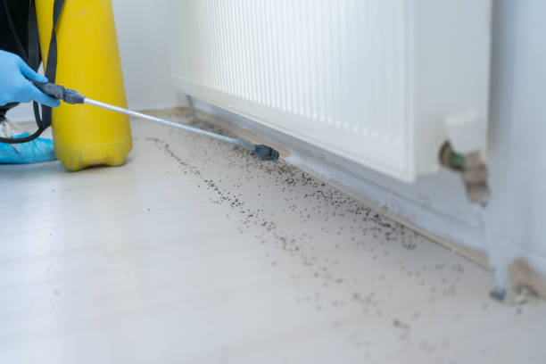 Best Commercial Pest Control Services  in Towson, MD