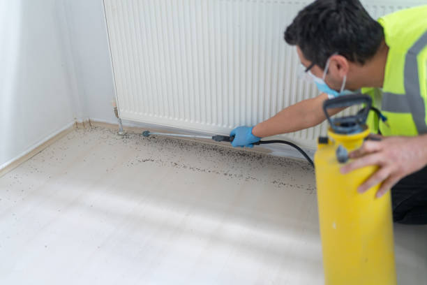 Best Pest Removal Services  in Towson, MD